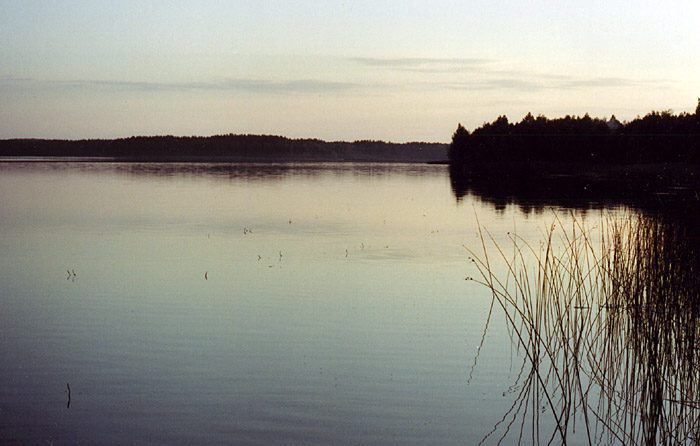 photo "Calm" tags: landscape, summer, sunset
