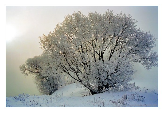 фото "Утро прошлой зимы.." метки: пейзаж, закат, зима