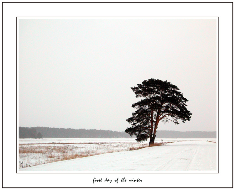 photo "first day of the winter" tags: misc., landscape, winter