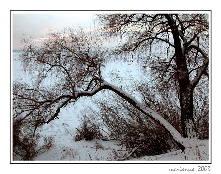photo "winter drawing" tags: misc., landscape, winter