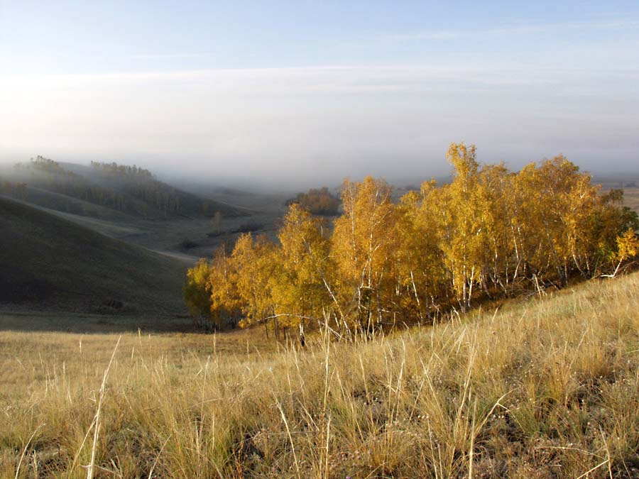 фото "Ушедшая осень" метки: пейзаж, осень