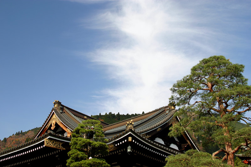 фото "Temple Roofs" метки: архитектура, путешествия, пейзаж, Азия