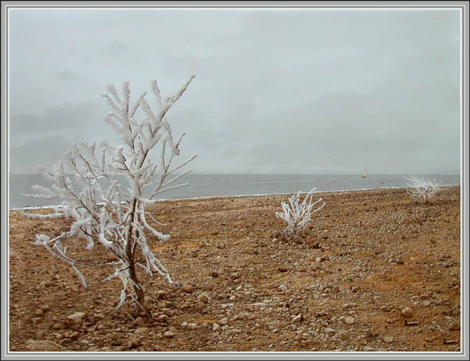 photo "Beach etude. A wind northwest" tags: landscape, winter