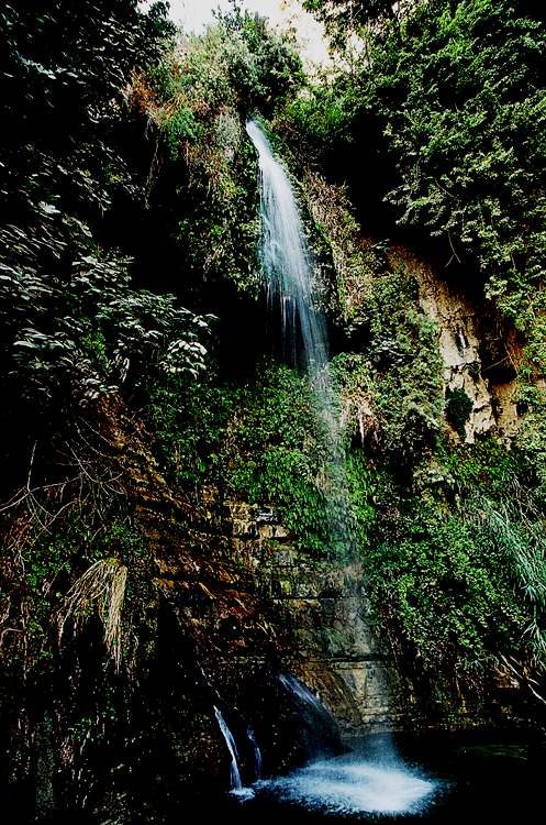 photo "Waterfall Ein-Gedi , near Dead Sea" tags: nature, 