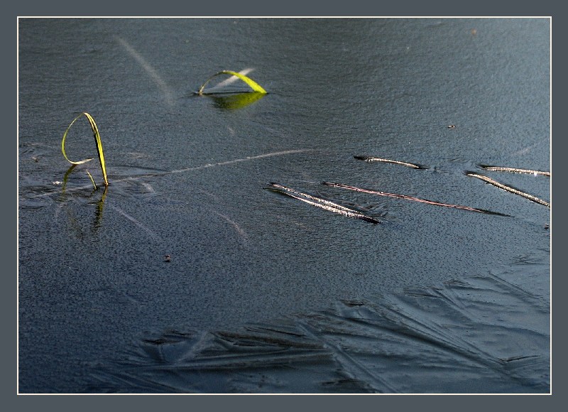 photo "Through steel of water not to all it is given..." tags: genre, landscape, water