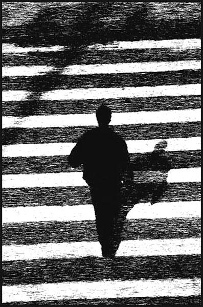 photo "Zebra" tags: architecture, landscape, 
