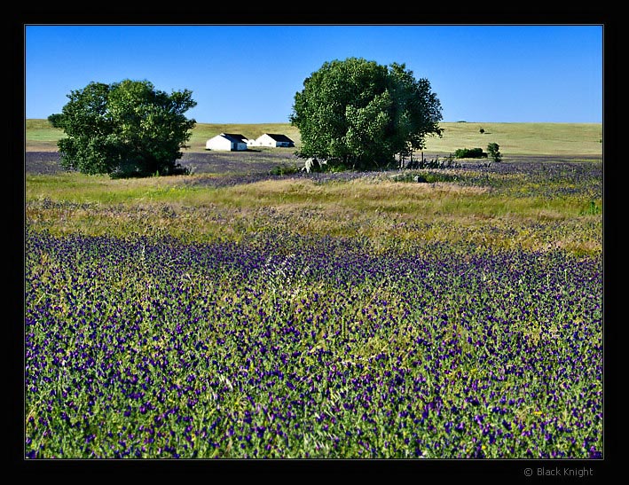 фото "Alentejo Hill" метки: пейзаж, весна