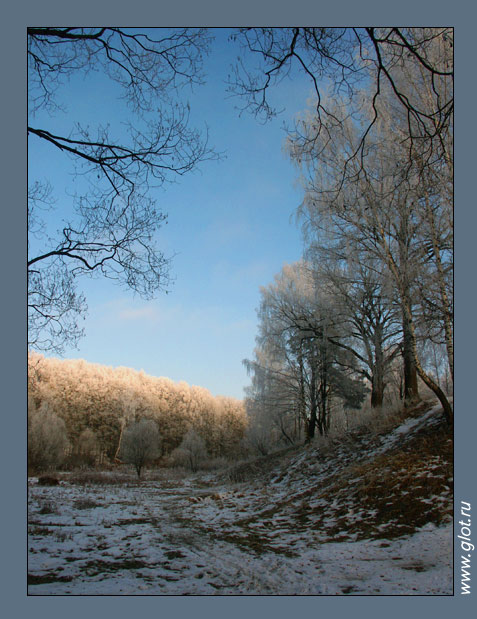 photo "Winter" tags: landscape, forest, winter