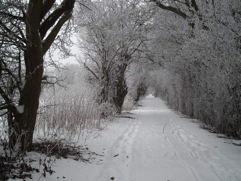 фото "Winter" метки: пейзаж, зима