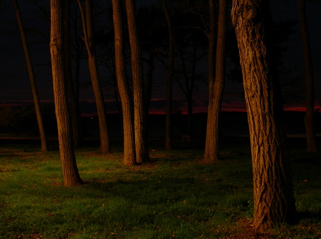 photo "Shading of the night 2" tags: landscape, night