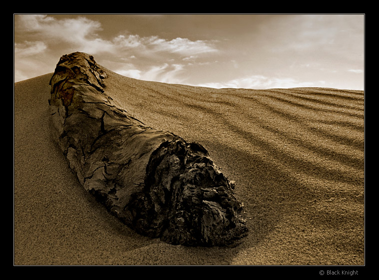 фото "Worm Dune" метки: абстракция, макро и крупный план, 