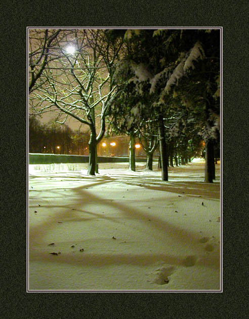 photo "Birthday of winter" tags: landscape, winter