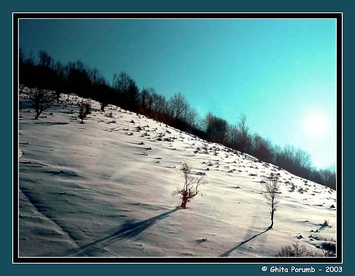 photo "Diagonala" tags: landscape, mountains