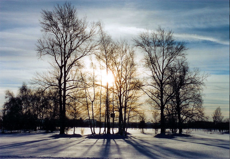 photo "Untitled photo" tags: misc., landscape, winter