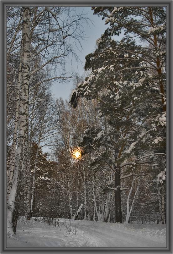 фото "Прогулки при полной луне #1" метки: пейзаж, зима, ночь