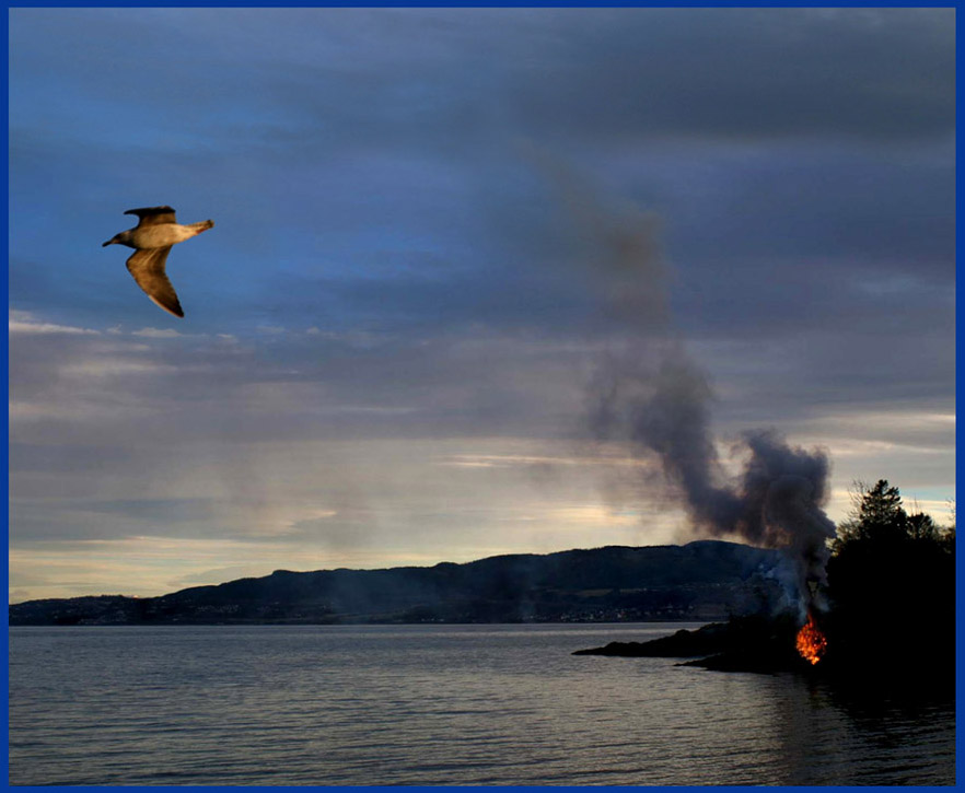 photo "Water, fire and flying gull" tags: landscape, water