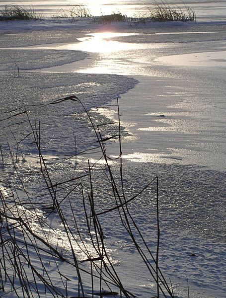 photo "Sun-winter way" tags: landscape, winter