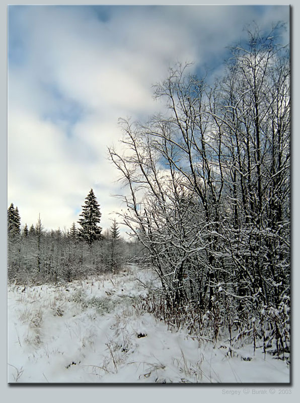 photo "Untitled photo" tags: landscape, winter