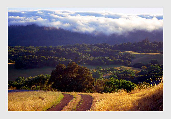 photo "Country road" tags: travel, North America