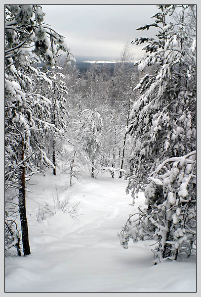 photo "Winter patterns" tags: landscape, winter