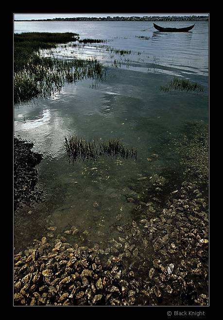 фото "Bay of the Oysters" метки: пейзаж, вода, зима
