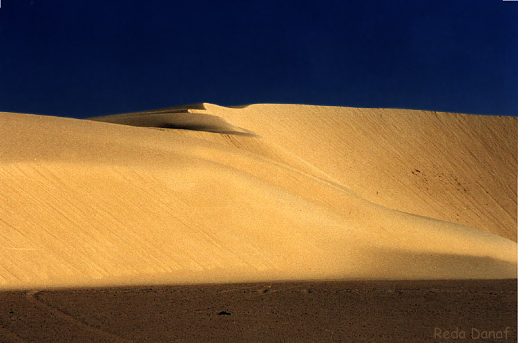 фото "Dunes" метки: путешествия, пейзаж, Африка