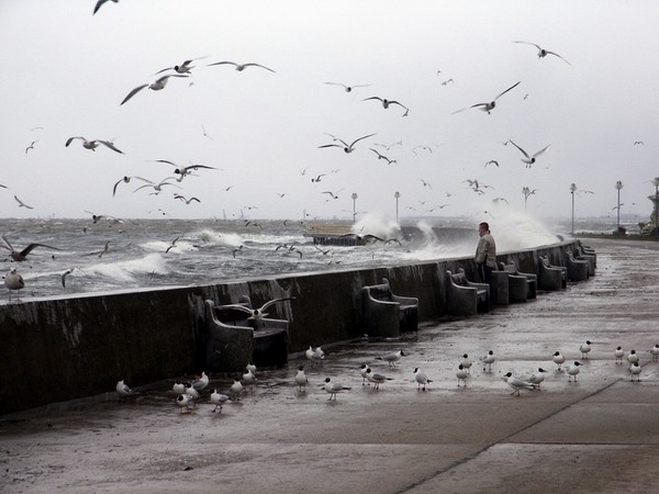 фото "Against storm" метки: природа, разное, 