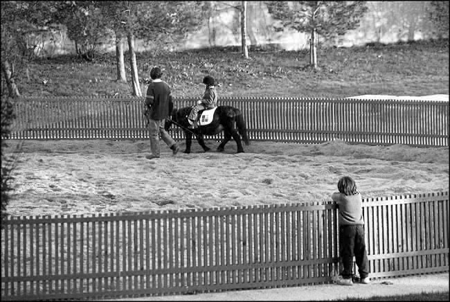 photo "How about me?" tags: black&white, genre, 