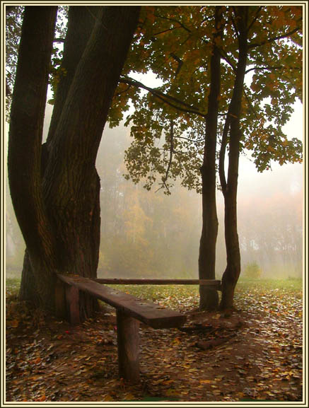 photo "Autumn tango" tags: landscape, autumn