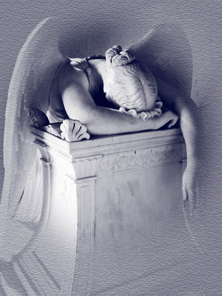 photo "Fallen Angel" tags: montage, 