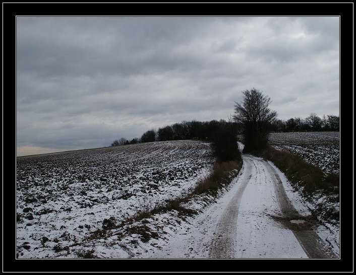 photo "Bisamberg, Vienna" tags: landscape, mountains, winter