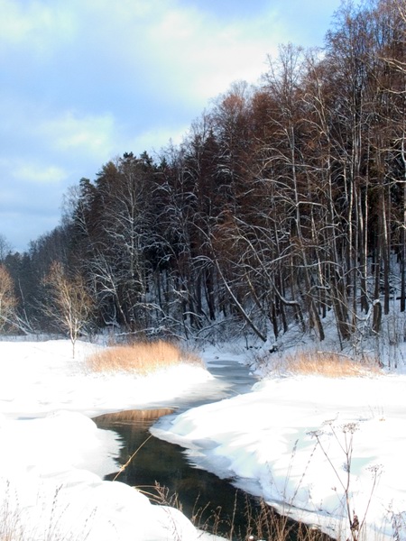 photo "The beginning of winter" tags: landscape, winter