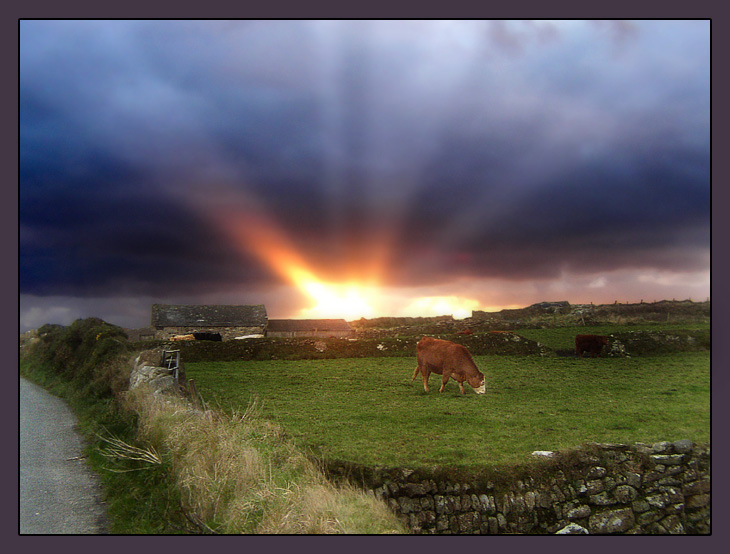 photo "Glow of sunset" tags: landscape, sunset