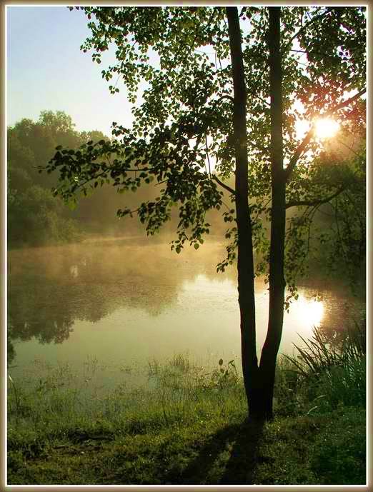 photo "It is a little grass, little water and a little fo" tags: landscape, autumn, forest