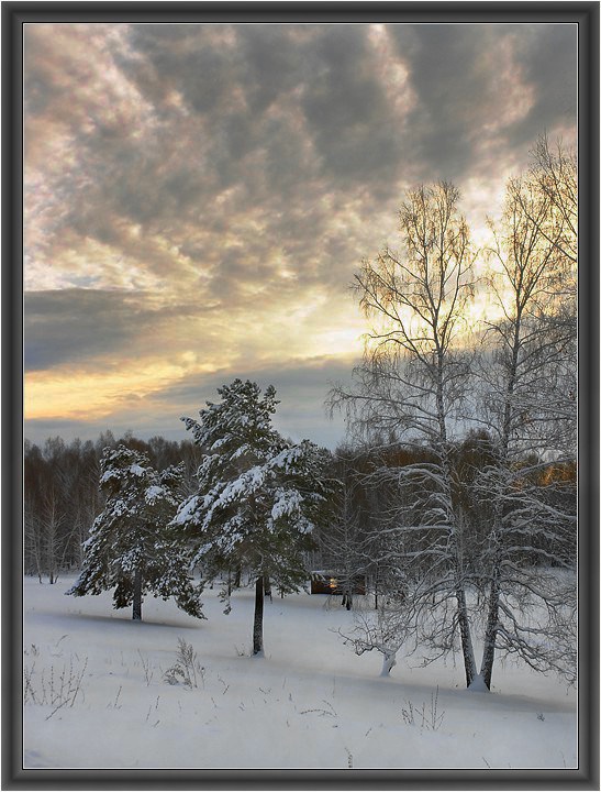 фото "Зимняя зарисовка #1" метки: пейзаж, зима