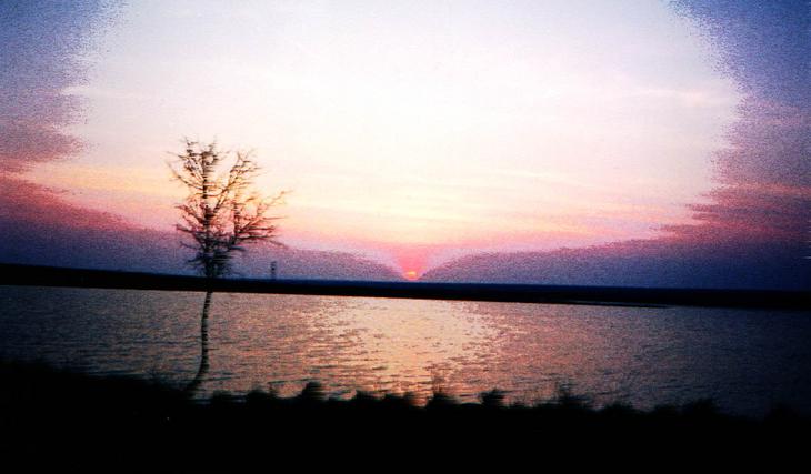photo "THe colours of life" tags: nature, 