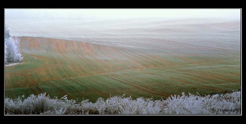 фото "Поле возникшее из тумана" метки: пейзаж, осень