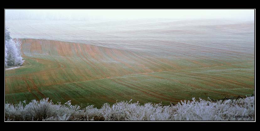 photo "Field arisen from a fog" tags: landscape, autumn