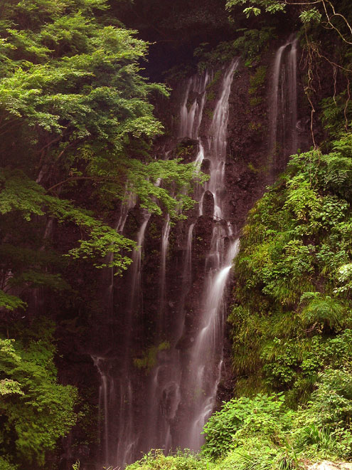 photo "Shiraito Falls IV" tags: landscape, water