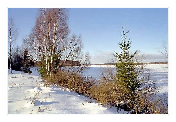 photo "December" tags: landscape, winter