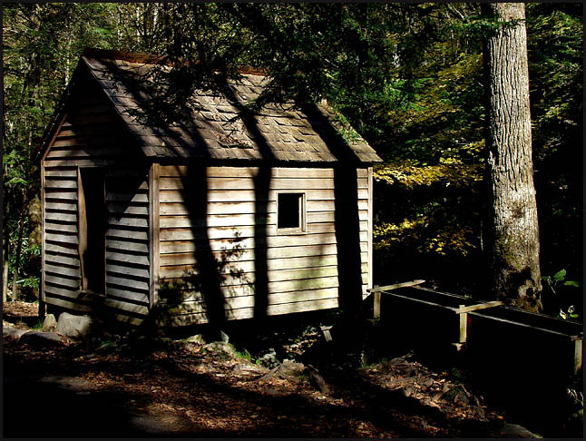 photo "little window in the forest" tags: landscape, forest