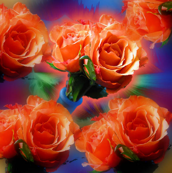 photo "Rose Fantasy" tags: montage, nature, flowers