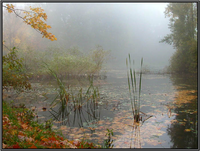 photo "Autumn sonata" tags: landscape, autumn, water