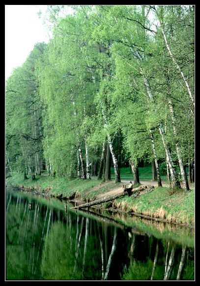 photo "Summer Landscape" tags: landscape, summer, water