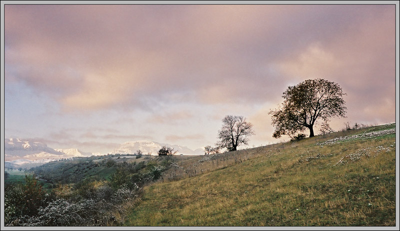 photo "just a landscape" tags: landscape, autumn