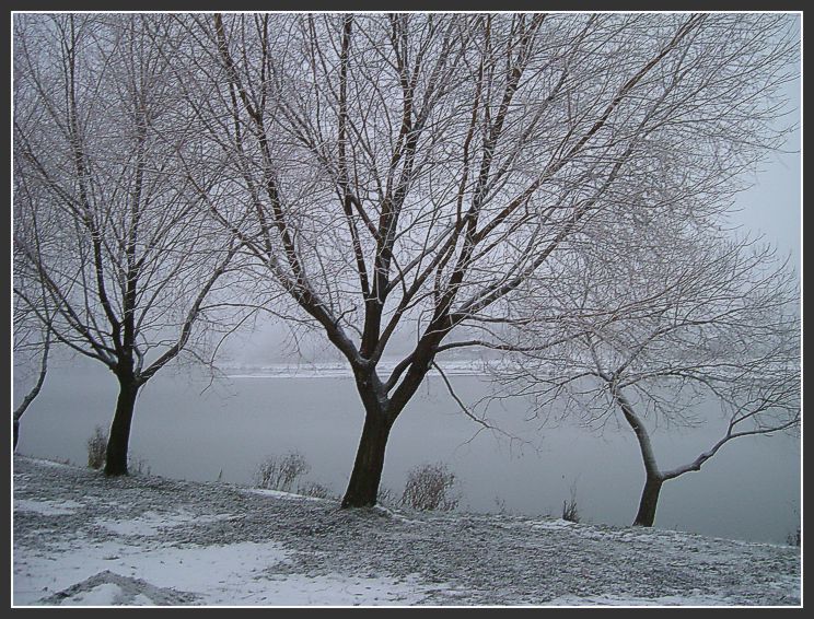 photo "Triplet" tags: landscape, water, winter