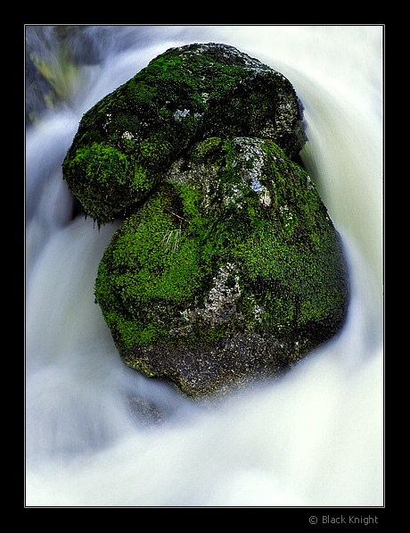 фото "Eternal Hug" метки: пейзаж, вода, осень