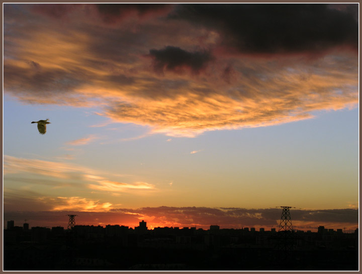 photo "Decline with Raven" tags: architecture, landscape, sunset