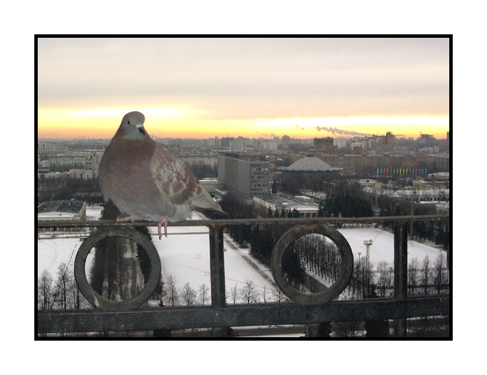 photo "Moskow" tags: portrait, architecture, landscape, 