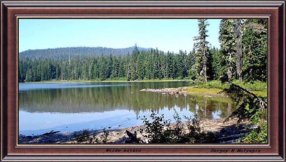 photo "Wild Nature" tags: landscape, water